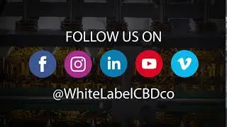 Wholesale CBD Company | White Label CBD Co. | CBD Gummies, CBD Oil, CBD Topicals and more