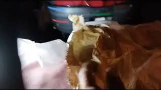 Apia&iacute; Serra da Serpente a janta e acampamento foi no estilo Companheiros kkkkkkk