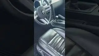 2007 Ford Mustang GT Walk-Around | 4.6L V8, 5-Speed Manual