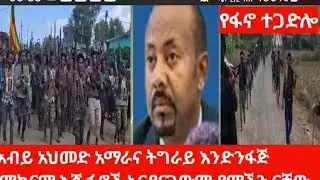 መግስት ምን አጋጠመው#