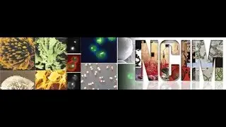 NCIM (National Collection of Industrial Microorganisms), CSIR NCL, Pune, India