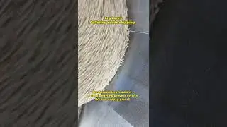 Seed pelleting process service seed pellet machine 10years experience #seedprocessing #centricoater