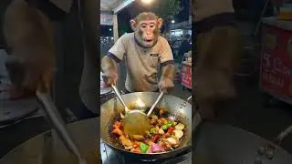 Masak monyet masak ai#beautiful #monyet #aivideo #hewanlucu #hewanunik #dagang #pasarmalam