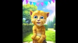 Funky Talking Ginger Cannot Find Love