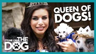 America's 'Royal Family' Needs Help With Their Dogs! |  It's Me or The Dog