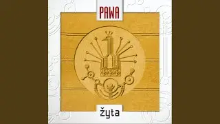 Zyta