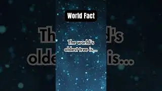 It is 4,853 Years Old 😱... #shorts #subscribe #worldfacts