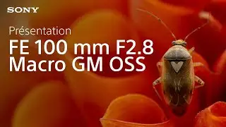 Pr&eacute;sentation du Sony FE 100 mm F2.8 Macro GM OSS | Objectif macro plein format