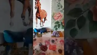 Dalai Lama-Cartea &icirc;nțelepciunii.3.Controlul furiei și al altor emoții