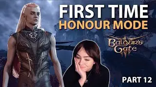 Moonrise massacre... | BG3 Honour Mode (Part 12)