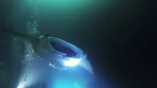 Manta Night Dive - Fesdhoo Lagoon Maldives
