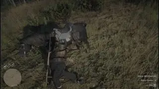 Red Dead Redemption invisble rock