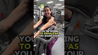 he biceps curl machine - ANA LOPES