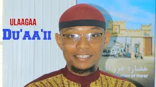 Ulaagaa Du'aa'ii 