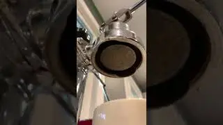 La Pavoni flushing shower head in 4K
