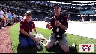 NewsdayTV : Shea, service dog in training, a source of relief for Mets