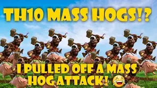 INSANE TH10 HOG ATTACK! MASS HOG SUI HEROS! 49 HOG RIDERS 5 HEALS!