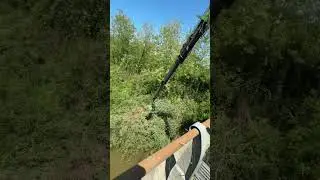 Extreme Tree Work Under Bridges &ndash; LBG Telescopic Boom + GSA Harvester in Action! #omef #boomarm