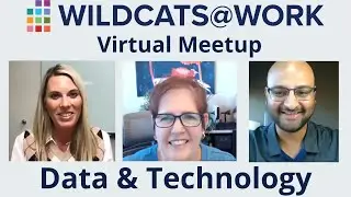 #WildcatsatWork Virtual Meetup Data and Technology #alumniadvice #beardown #datacareers #techcareers