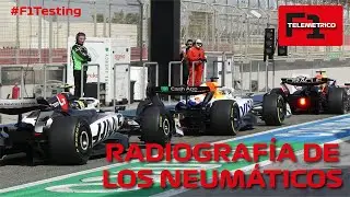 RADIOGRAF&Iacute;A DE LOS NEUM&Aacute;TICOS EN LOS TEST DE BAHREIN #f1testing #f12025 #telemetricof1