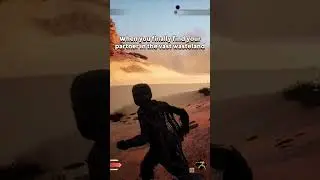 Reunited in the Dunes