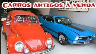 OLHA S&Oacute; TODOS &Agrave; VENDA FUSCA E OUTROS CARROS ANTIGOS DILCAR MULTIMARCAS #classiccars #aircooled