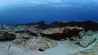 Papahanaumokuakea National Marine Sanctuary - Reef off Laysan Island 360 Video