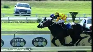 20160427 Scottsville Race 3 won by BLACK CAT MAGIC