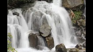 Road trip into deep forest - Anshi Tiger Reserve Forest