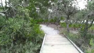 Marsh Boardwalk at Hunting Island State Park in South Carolina