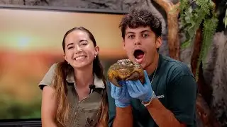 StableRonaldo visits Maya at her Animal Sanctuary!