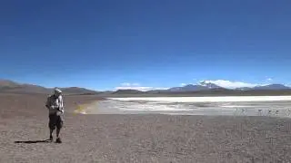 Laguna Brava flammands roses