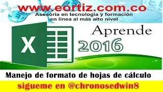 Nivel básico - Video 2- Manejo de formato de hojas de cálculo