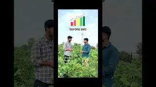 Part= 3 ( highest cotton production in India and export ) #export #farming #agriculture #cotton #fyp