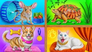 Строим Домики для Животных | Смешные Моменты от Super Hyper DO
