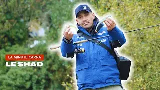 Tuto p&ecirc;che : comment animer un shad - La Minute Carna