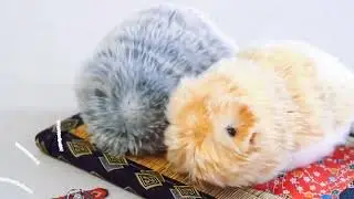 Casio Moflin: The AI Pet That Purrs, Bonds With You&hellip; and Collects Data