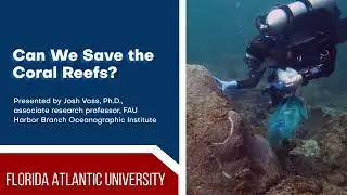 Can We Save theWorld&rsquo;s Coral Reefs?