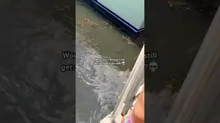 Would he get skunked? #fishing #relatable #fishingbro #fyp
