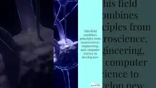 what is neural engineering?