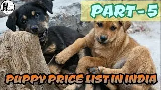Dog Price List in INDIA | PART - 5 | PRICE LIST | HINGLISH FACTS