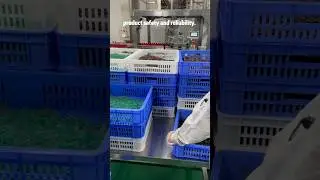 Professional OEM/ODM #natural #machine #superfood #factory #vitamin #business #food #manufacturing