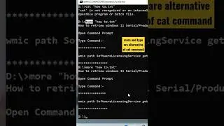 Alternative of cat command in Window 11 #shorts