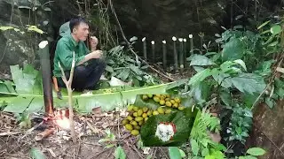 Survival lnstinct , Wilderness Alone looking for food and water in tropical rainforest (ep1)