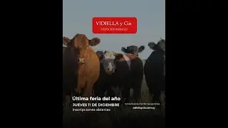 11/12/2025   Ultima feria del a&ntilde;o - Vidiella y Cia / Local 33 en la calera - Treinta y Tres