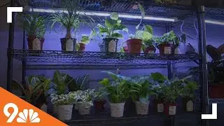 Celebrating National Small Business Week in Colorado
