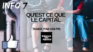 7  Qu'est ce que le CAPITAL via immo pour les nuls