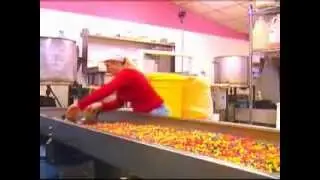 HR Poppin' Snacks featured on NTV's 