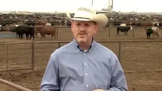 Sustainability at the Feedyard