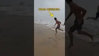 Barulho ensurdecedor das ondas que arrastam banhistas #naturezaselvagem #praias #ondasgigantes